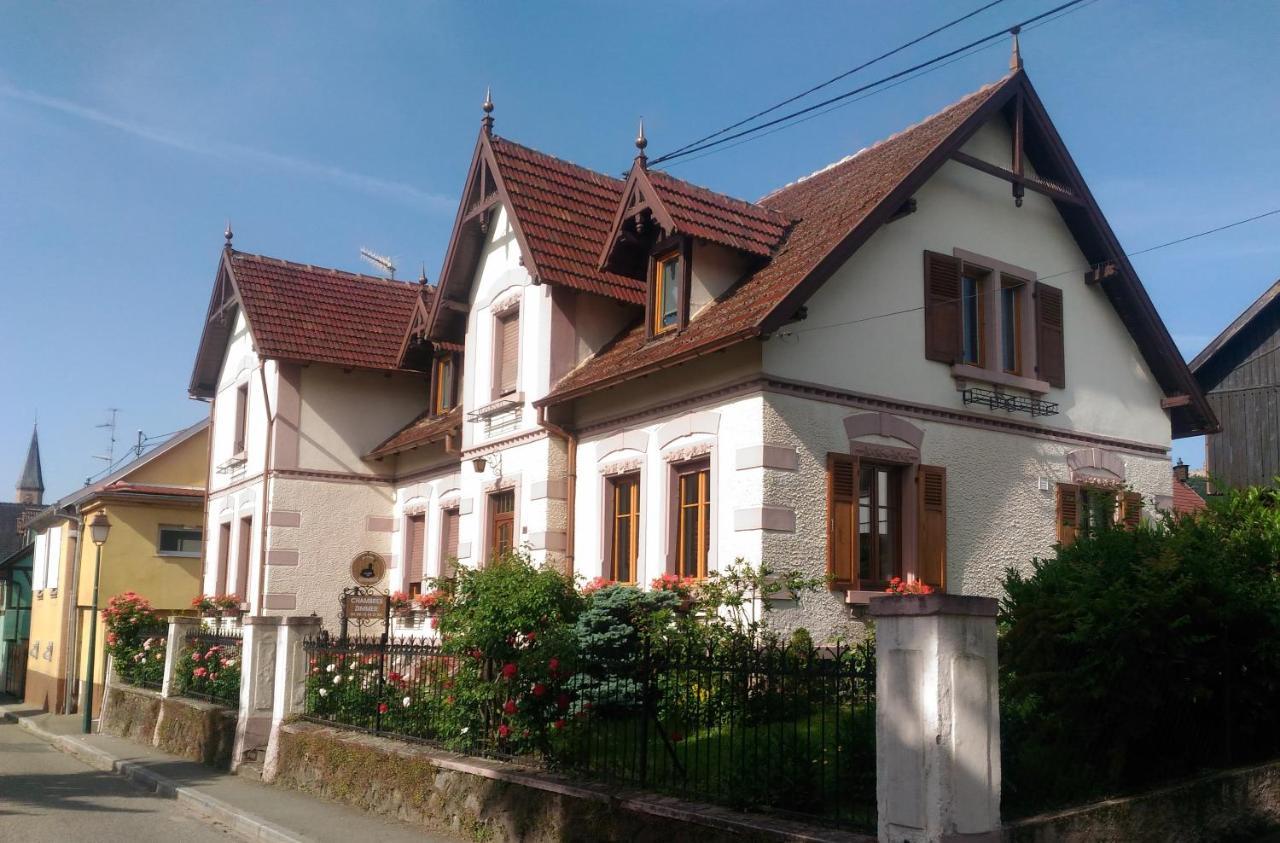 Gites Au Pied Du Haut-Koenigsbourg Kintzheim Kültér fotó