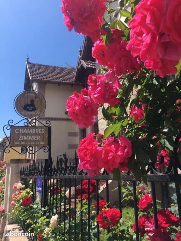 Gites Au Pied Du Haut-Koenigsbourg Kintzheim Kültér fotó